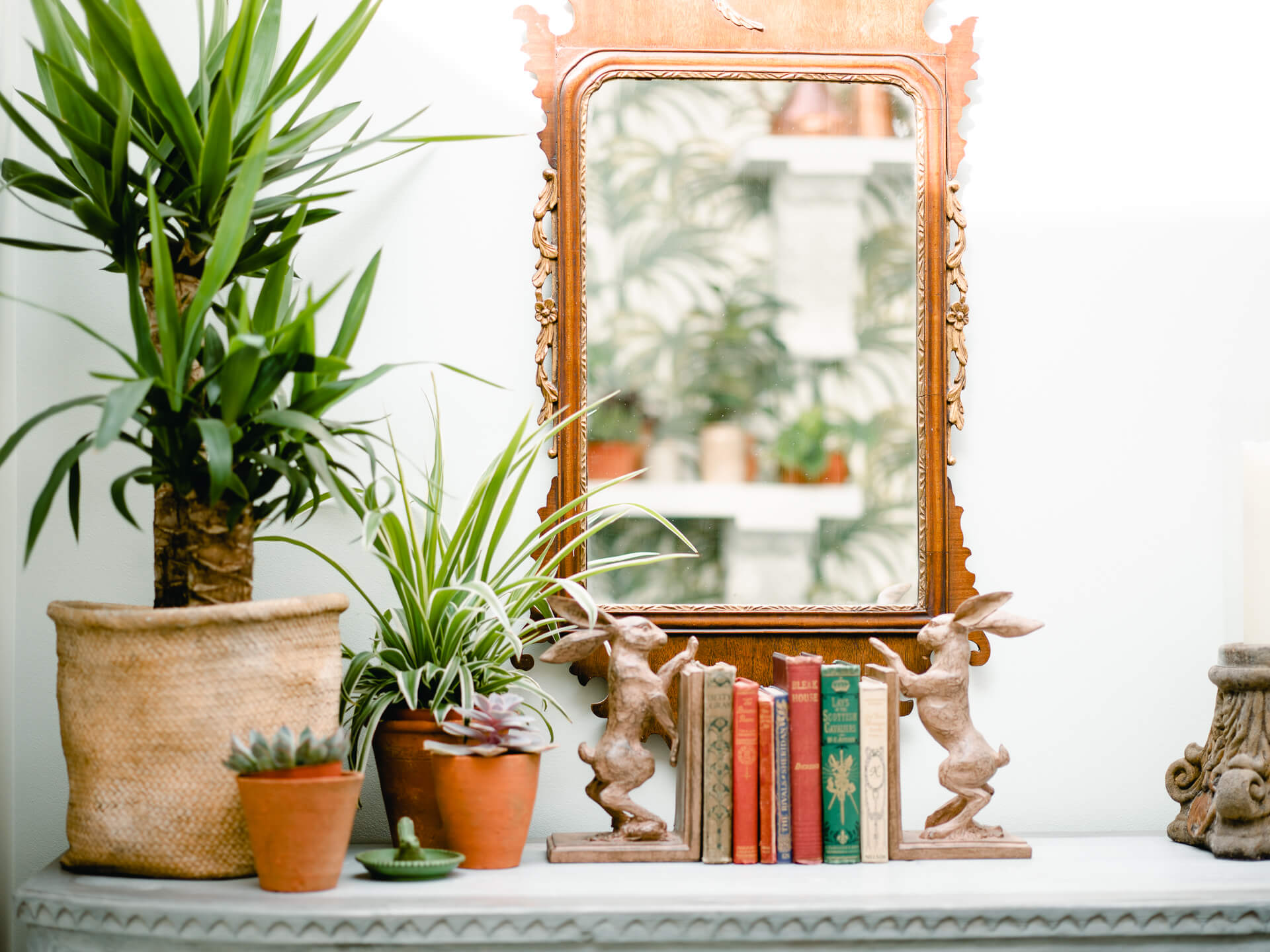 Books and plants on the conservatory shelf at 11 Cadogan Gardens