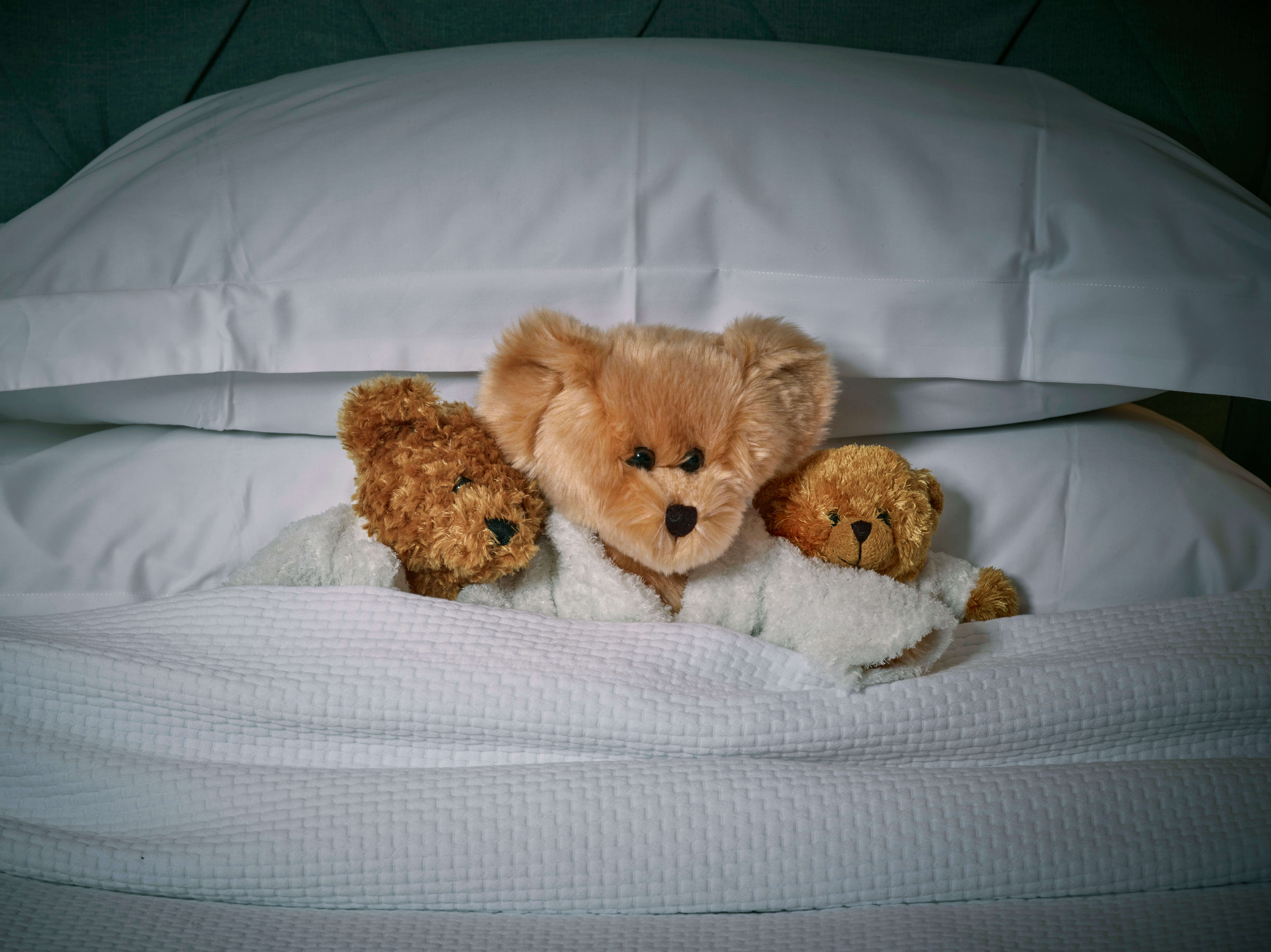 Teddy bears inside of a bed at 11 Cadogan Gardens
